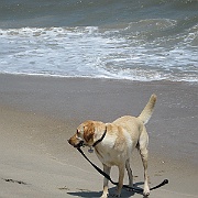 Picture 197